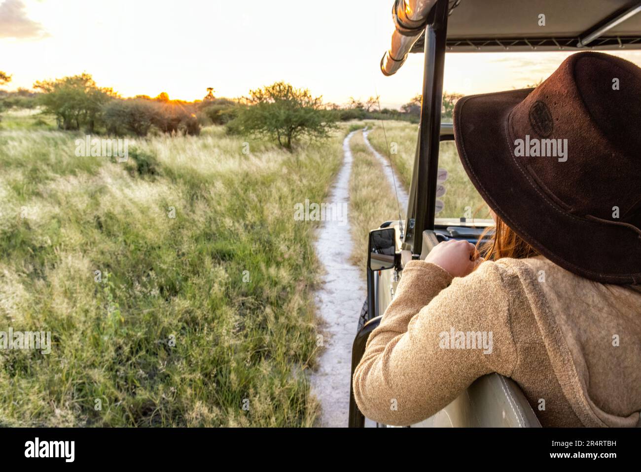 Femme sur la route de jeu à Onguma Game Reserve, Namibie, Afrique Banque D'Images