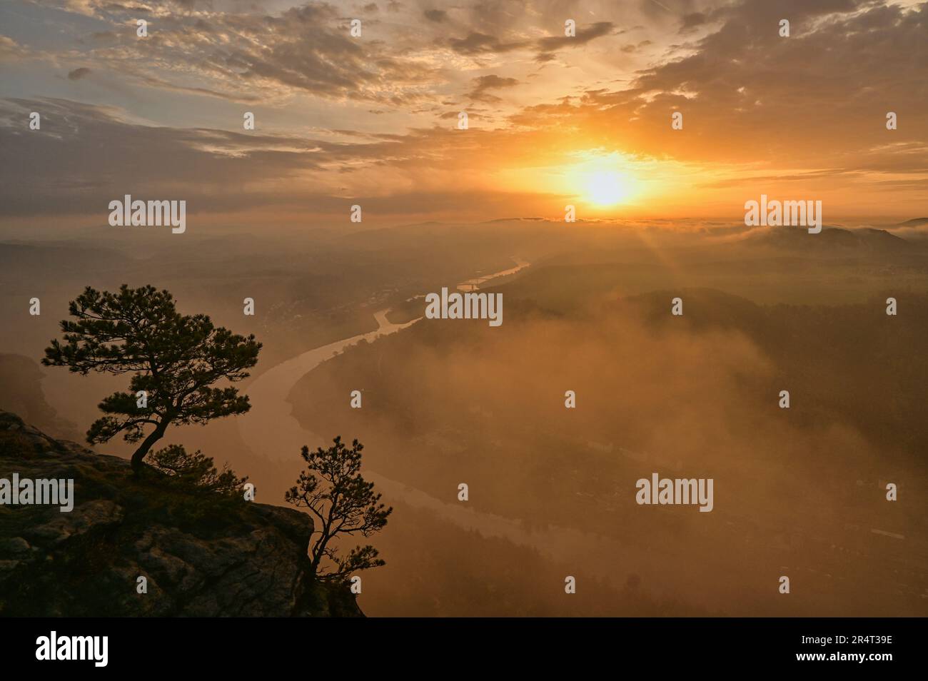 Le Lilienstein dans les montagnes de grès d'Elbe au lever du soleil Banque D'Images