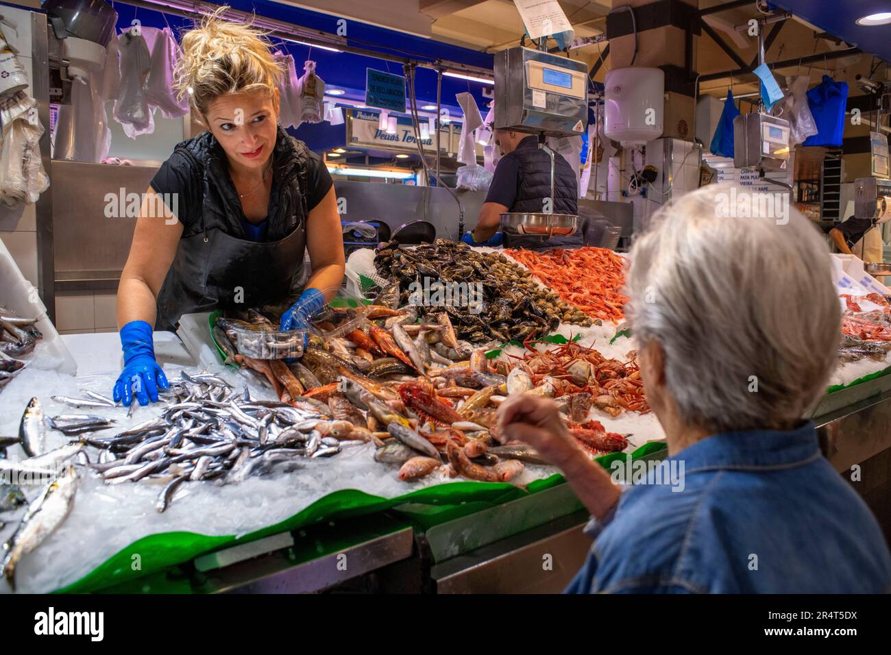 Fish stall, marché, Mercat de l'Olivar, marché Olivar à Palma de Majorque, Majorque, Espagne. Mercado del Olivar dans le centre ville de Palma de Mallo Banque D'Images