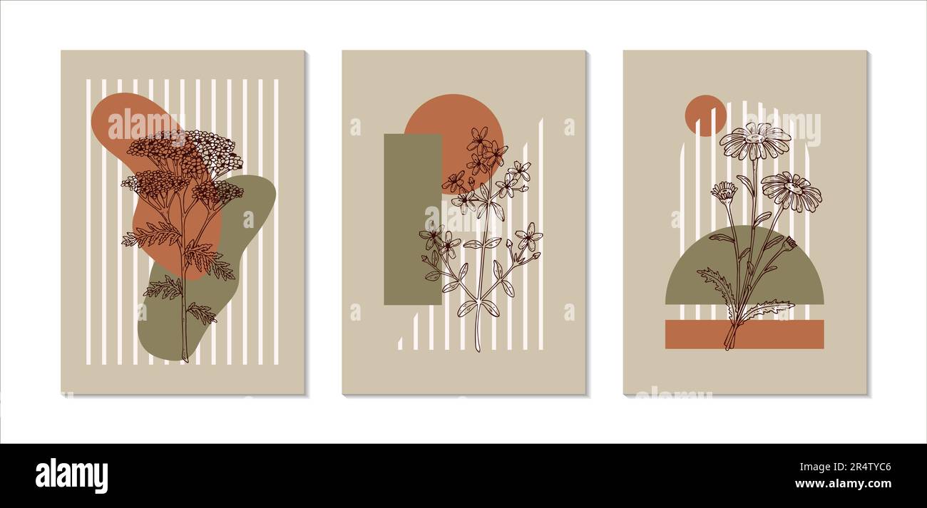 Ensemble d'affiches esthétiques florales modernes avec fleurs de champ. Illustration vectorielle dessinée à la main. Esquissez des fleurs sauvages Illustration de Vecteur