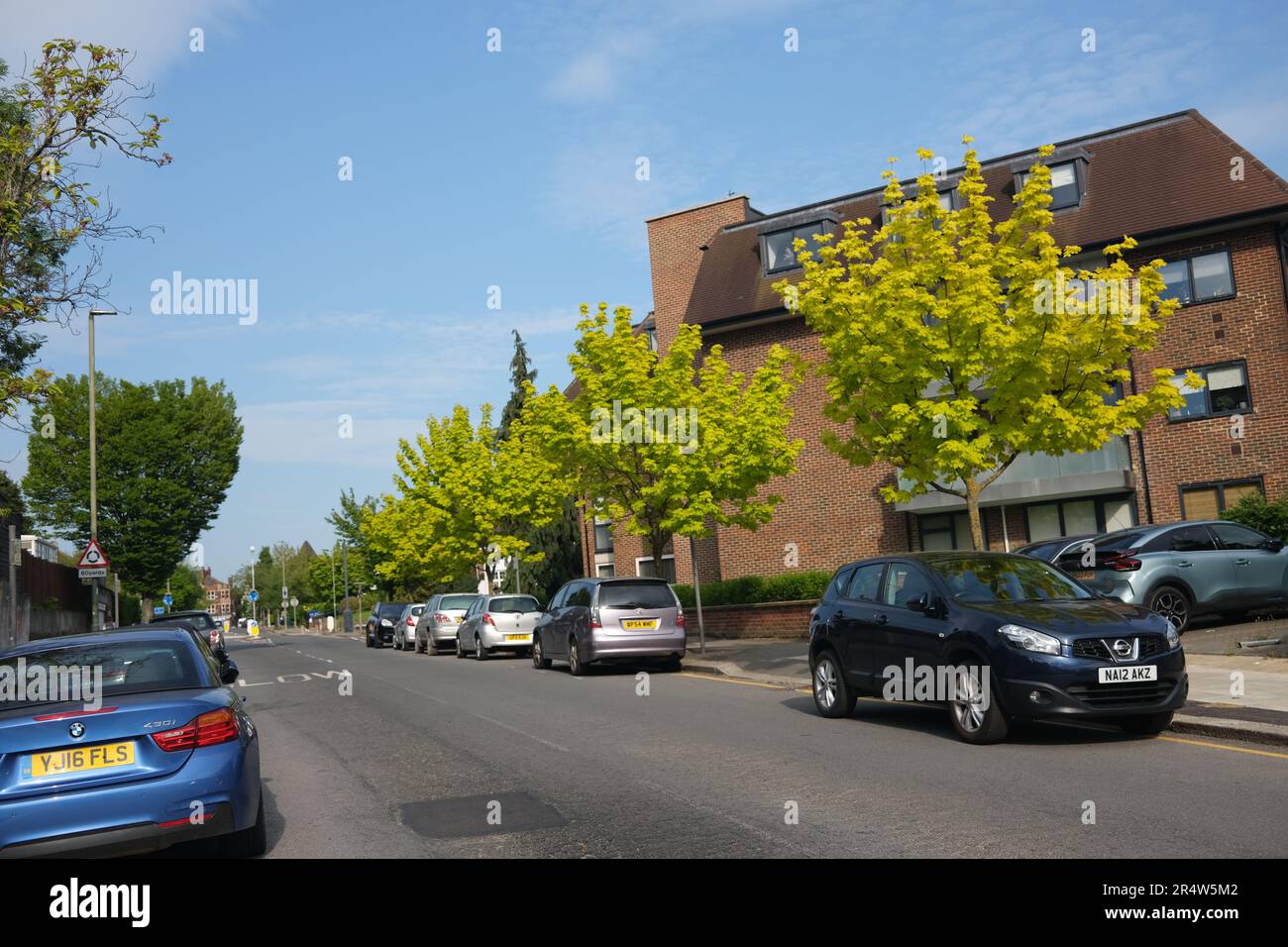 Une belle rue résidentielle verdoyante dans le nord de Londres par un après-midi ensoleillé en mai 2023 avec une rangée d'arbres resplendissante dans le soleil de l'après-midi Banque D'Images