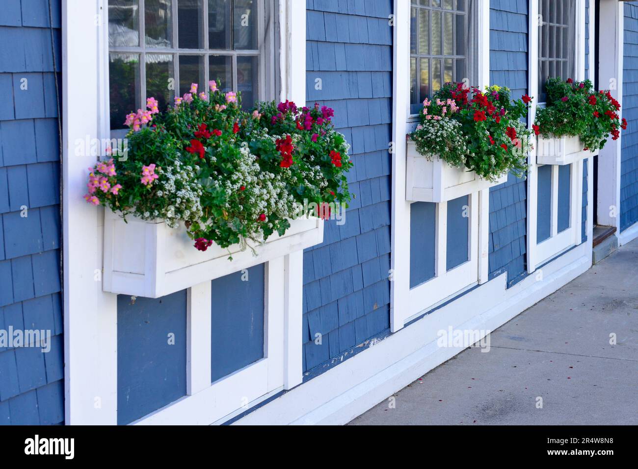 L'entrée extérieure d'un bâtiment avec de multiples fenêtres en verre. Il y a cinq fenêtres dans une rangée sur le mur coloré de tremblement de cèdre bleu avec garniture blanche Banque D'Images