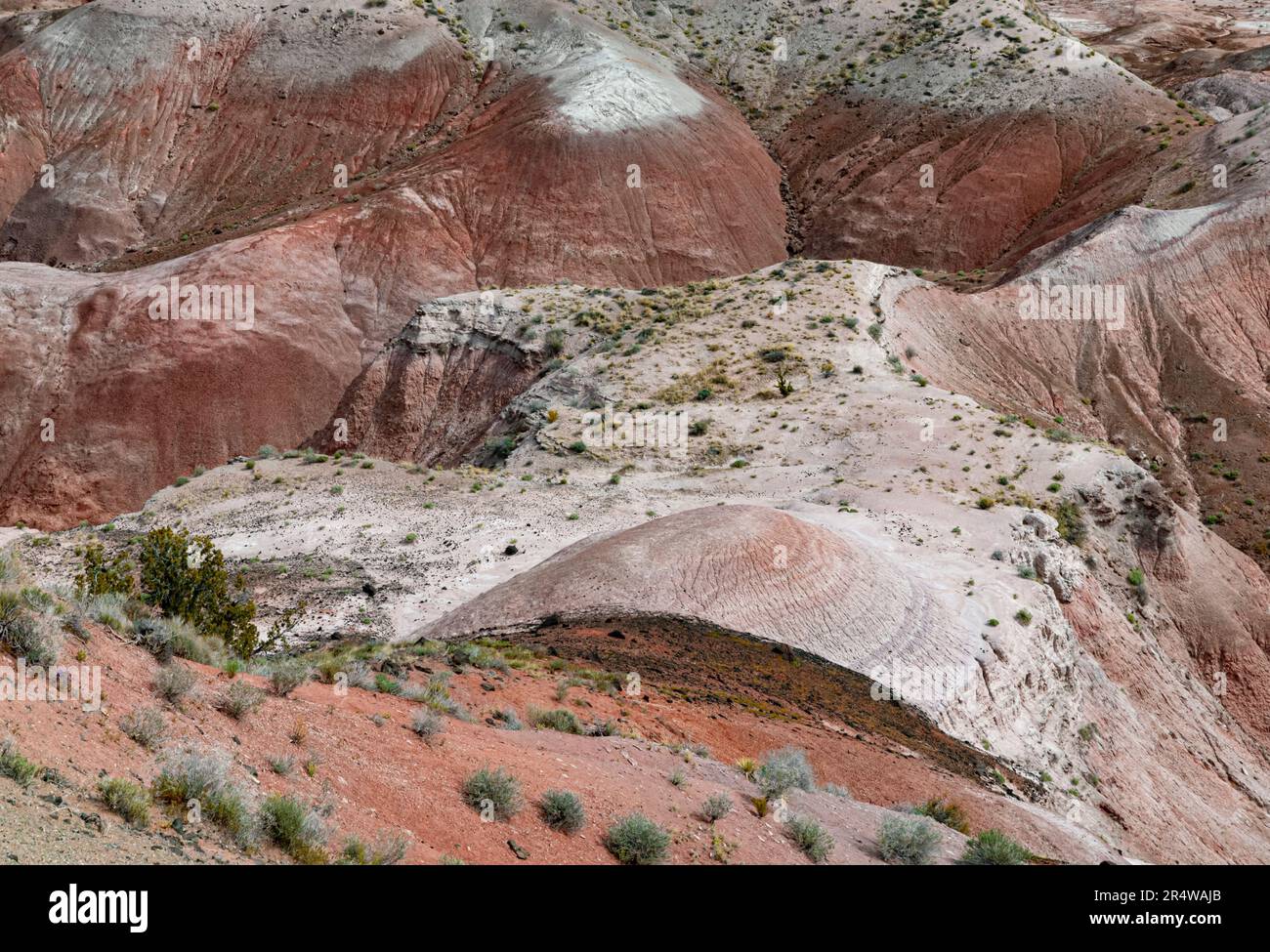 L'érosion crée des motifs et des « dômes », Painted Desert, Petrified Forest National Park, comté d'Apache, Arizona Banque D'Images