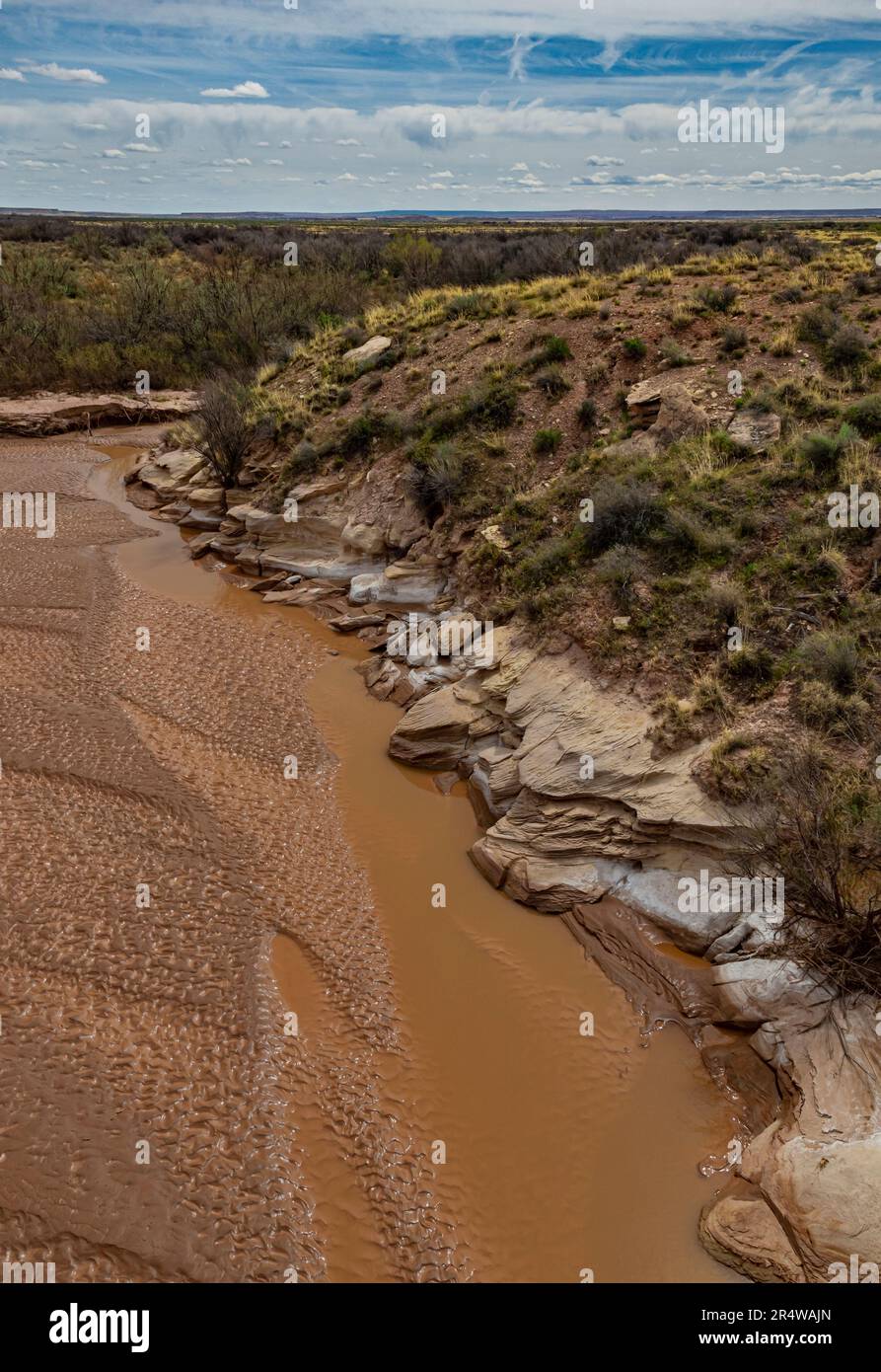 La rivière Puerco, dont l'eau est faible au printemps, traverse parfois le parc national de la forêt pétrifiée, dans le comté d'Apache, en Arizona. Banque D'Images