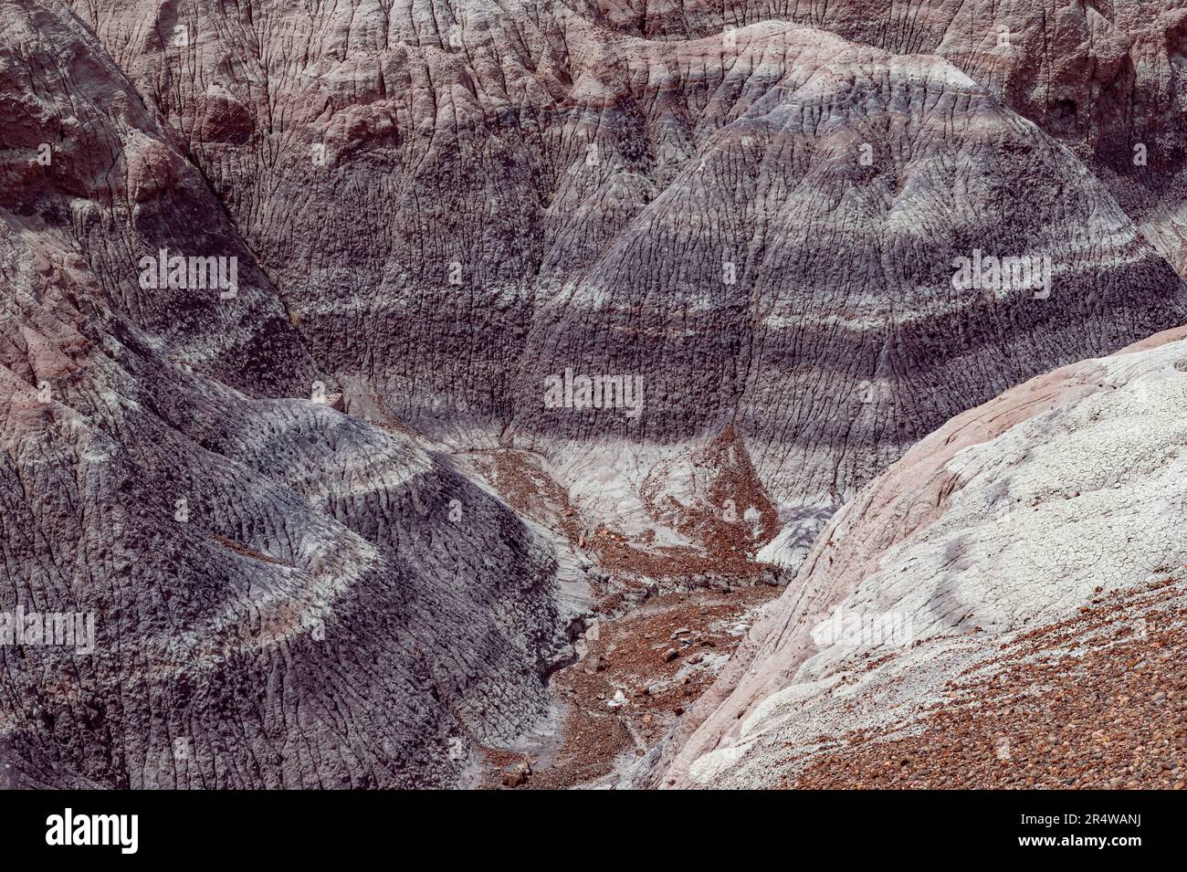 Les motifs d'érosion créent des bandes de texture et de couleur, Paited Desert, Petrified Forest National Park, Apache County, Arizona Banque D'Images