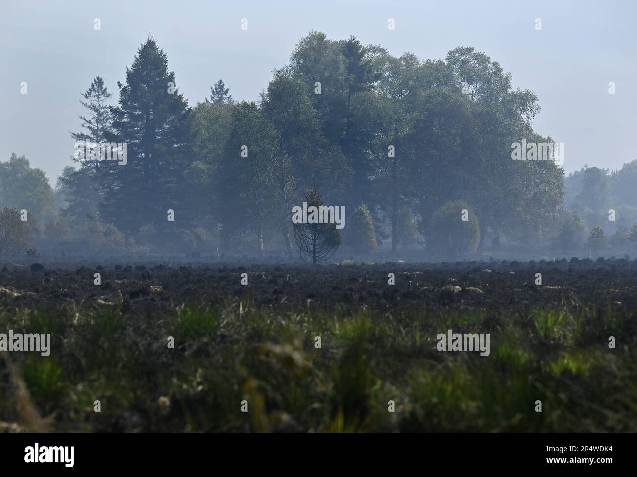 l-illustration-montre-la-sc-ne-d-un-incendie-dans-les-hautes-fagnes