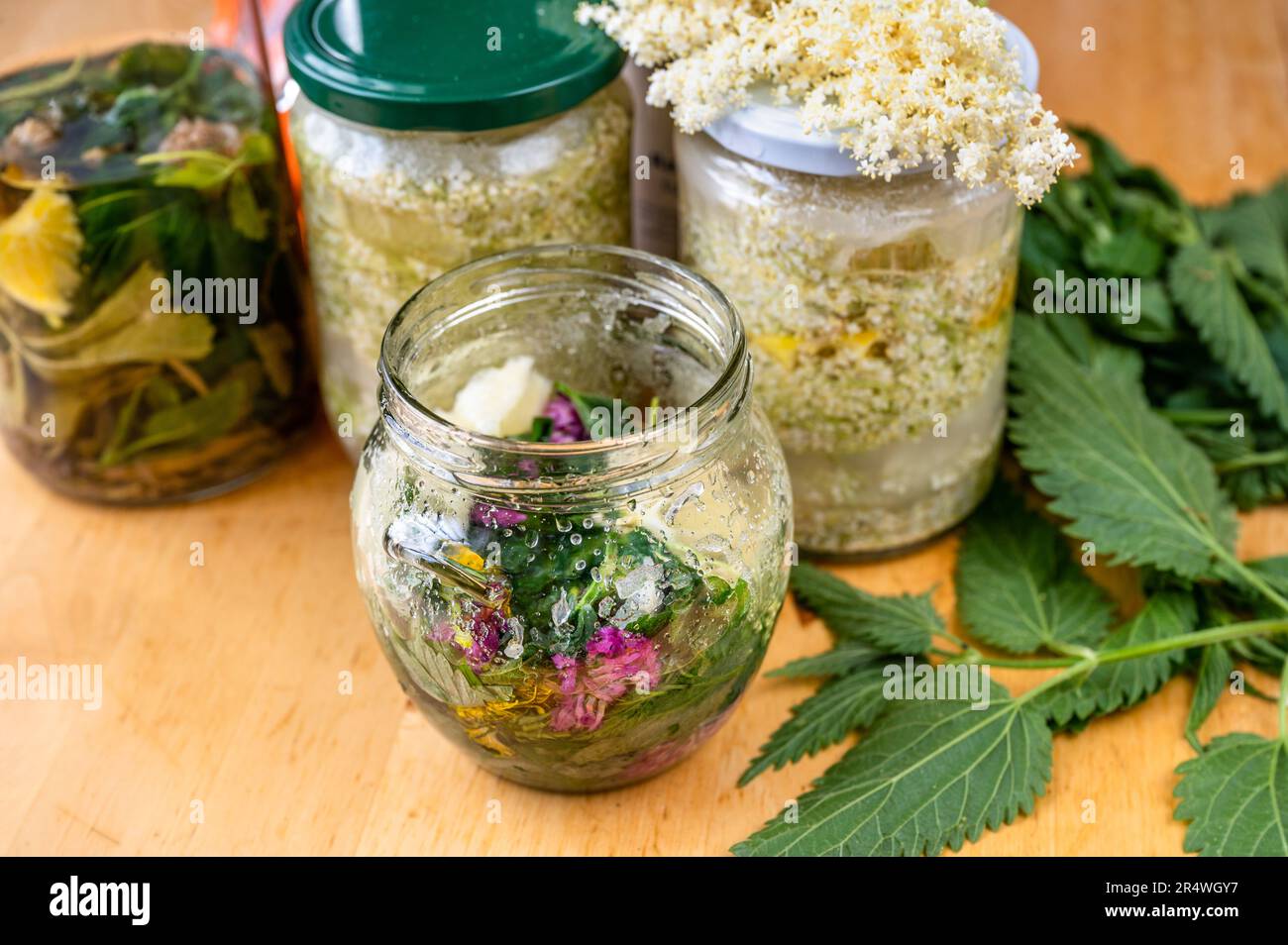 Préparation de sirop et de limonade à partir de fleurs plus âgées, macération de fleurs en bouteilles sur la table. Banque D'Images