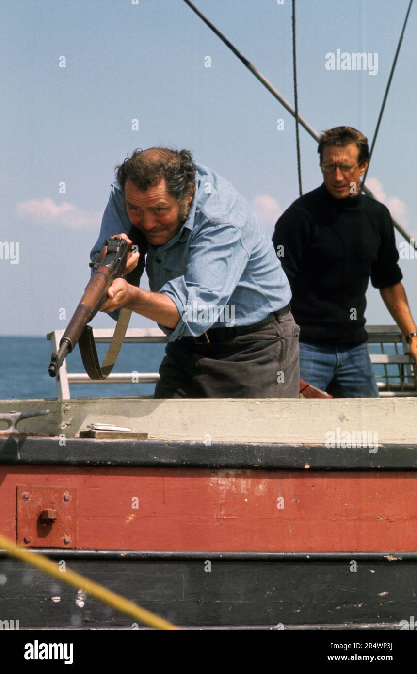 JAWS année : 1975 USA Directeur : Steven Spielberg Robert Shaw, Roy Scheider Banque D'Images