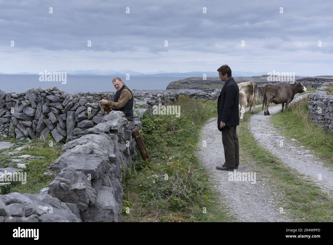 Les Banshees d'Inishenin année : 2022 Irlande Royaume-Uni Etats-Unis Directeur : Martin McDonagh Brendan Gleeson, Colin Farrell Banque D'Images