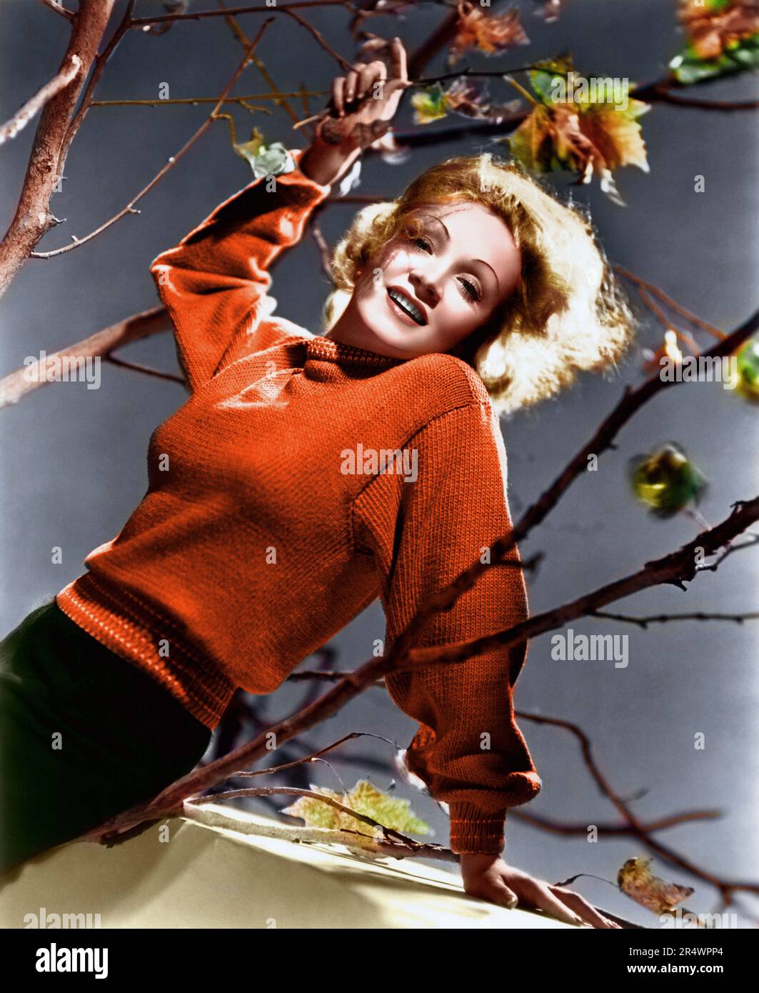 Marlene Dietrich Banque D'Images