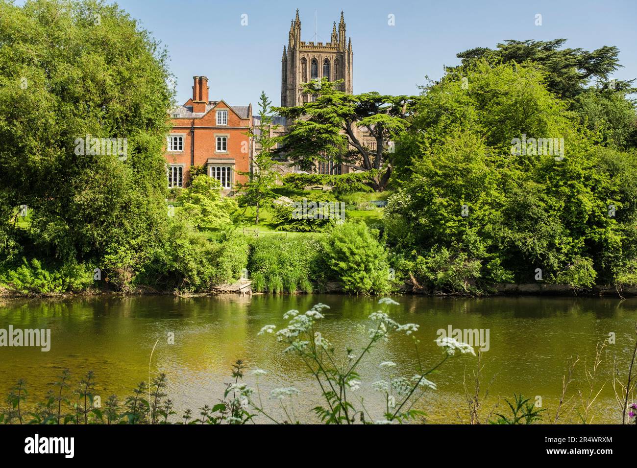 Vue sur la rivière Wye jusqu'à la cathédrale Sainte-Marie la Vierge en été. Hereford, Herefordshire, Angleterre, Royaume-Uni, Grande-Bretagne Banque D'Images Vue sur la rivière Wye jusqu'à la cathédrale Sainte-Marie la Vierge en été. Hereford, Herefordshire, Angleterre, Royaume-Uni, Grande-Bretagne Banque D'Images