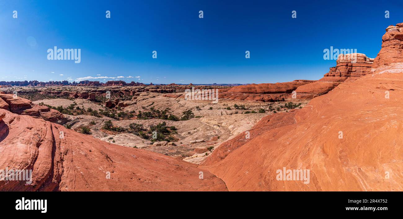 Vaste paysage de roche de grès dans le quartier des aiguilles du parc national de Canyonlands, avec vue sur Devil's Kitchen; États-Unis d'Amérique Banque D'Images