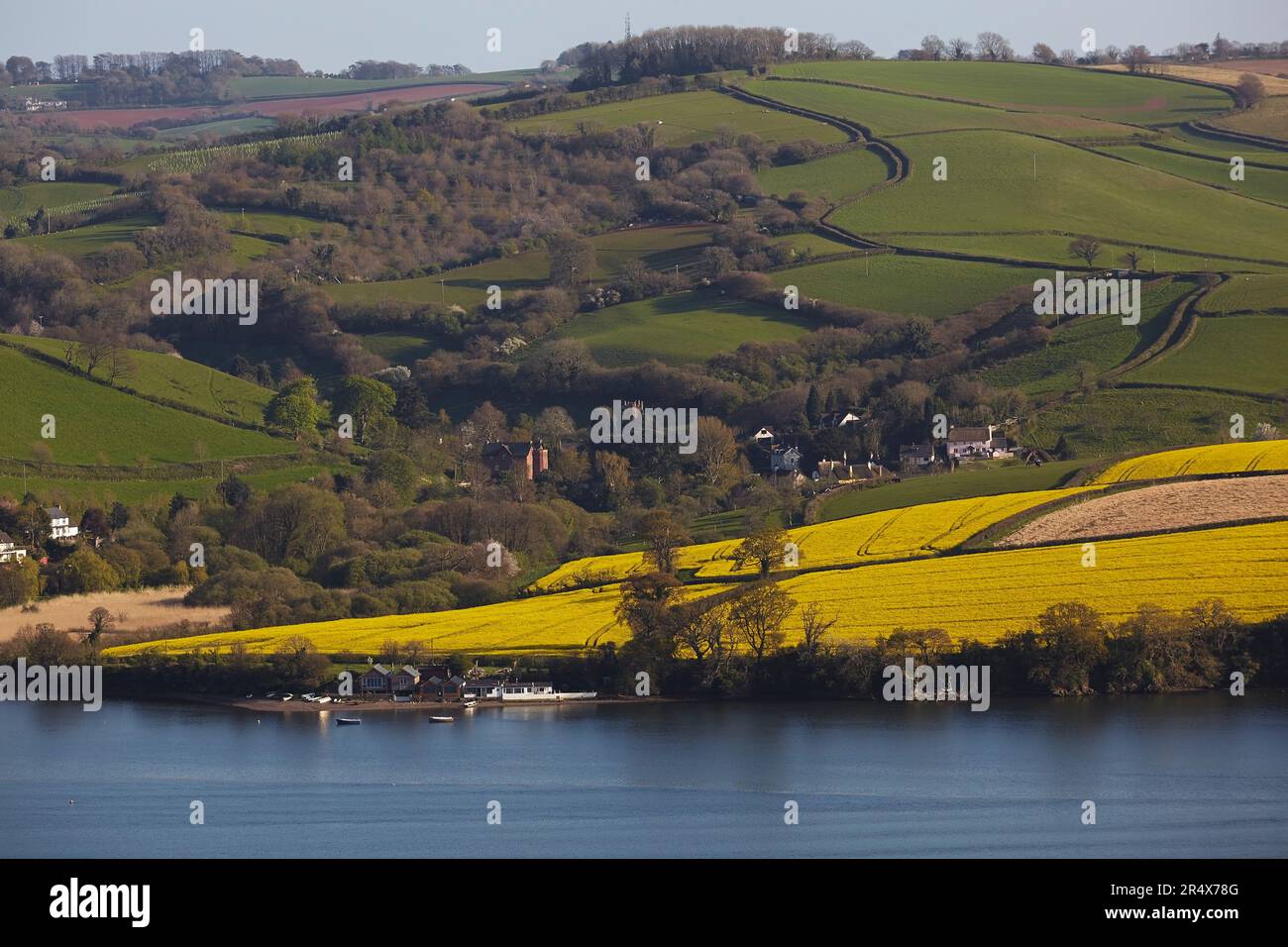 Terres agricoles pittoresques sur des collines ondulantes le long de l'estuaire de la rivière Teign, près de la ville de Teignmouth, à Devon, dans le sud-ouest de l'Angleterre Banque D'Images