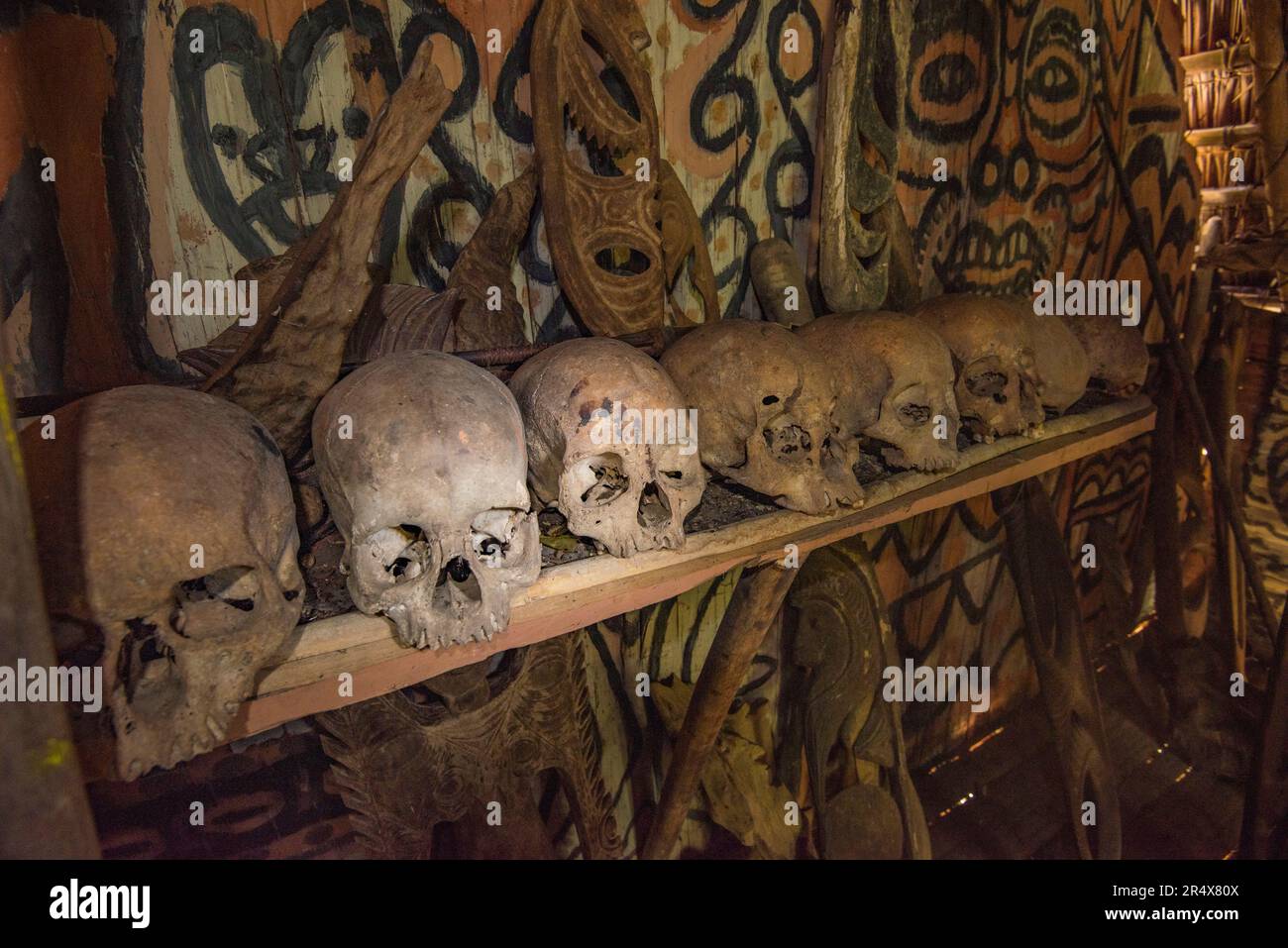 Gros plan de crânes humains exposés dans une Spirit House à Karawari dans la région de Sepik en Papouasie-Nouvelle-Guinée. C'est une partie de la tribu Yokoim, qui wa... Banque D'Images