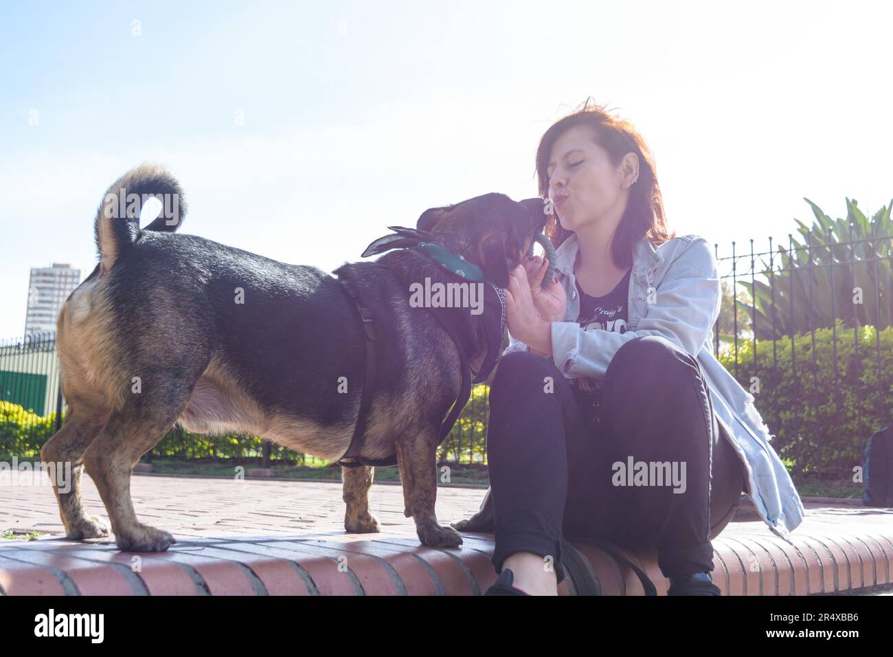 jeune femme colombienne latine assise dans le parc heureux parce que son chien l'embrasse, se reposant pendant la marche, concept de style de vie, copier l'espace. Banque D'Images