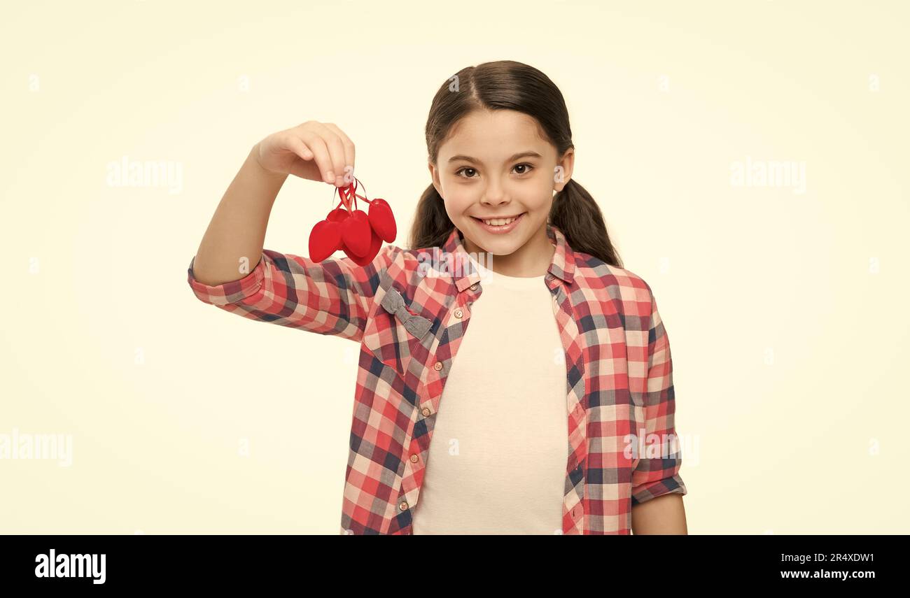 Bulk Buy : Cœur Rouge Fil Avec Amour, Lot De 2 Balles, Holly Berry