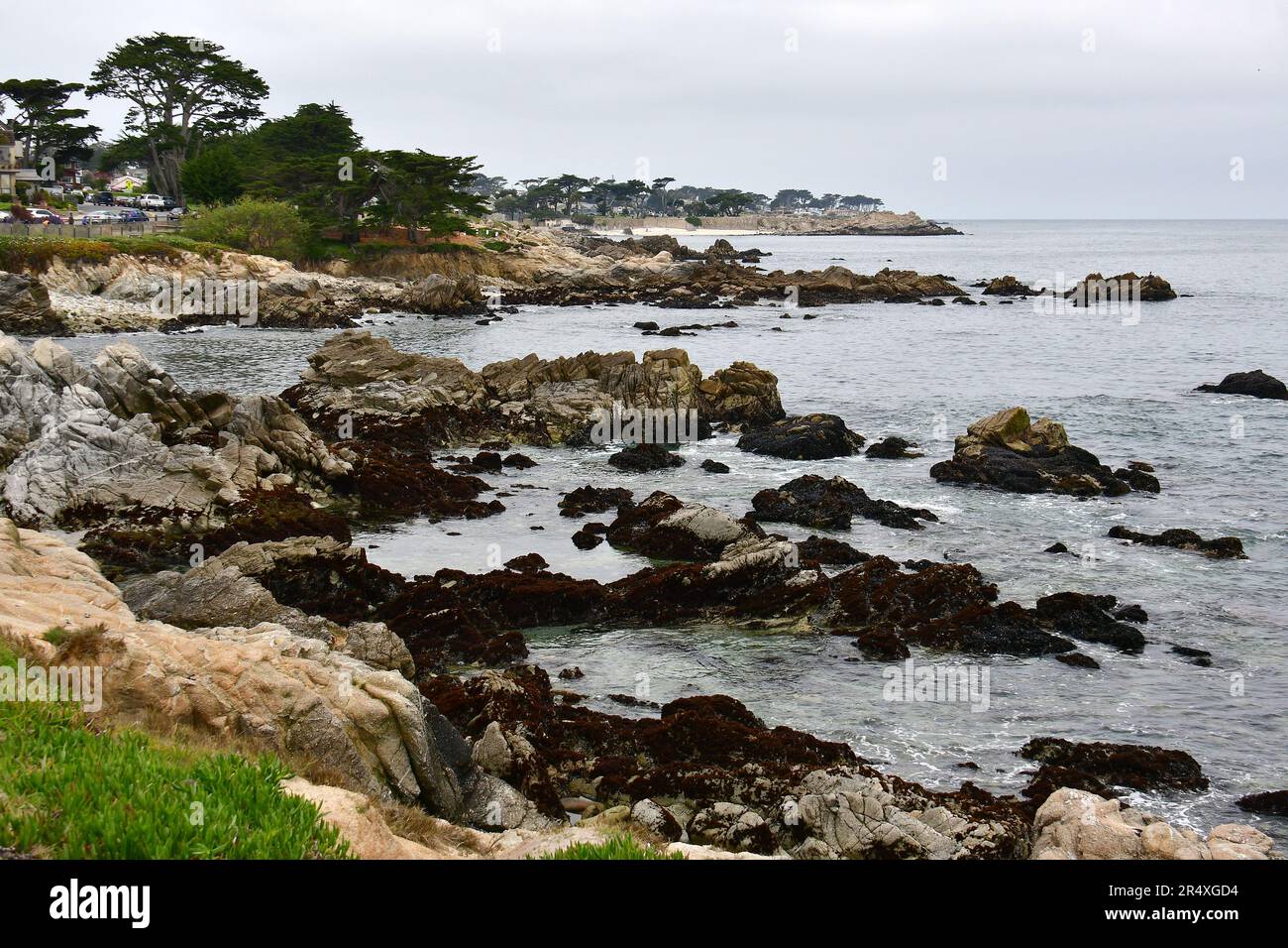 Coast, Lovers point, State Marine Reserve, Monterey Bay National Marine Sanctuary, Monterey Bay, Monterey, Comté de Monterey, Californie, États-Unis, Amérique Banque D'Images