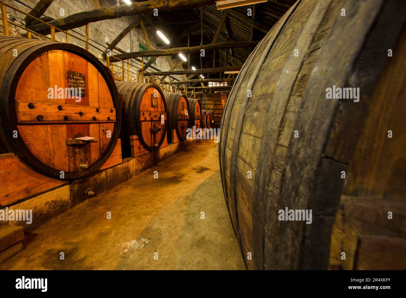 Fûts de vin dans une cave ; vallée du fleuve Douro, Portugal Banque D'Images