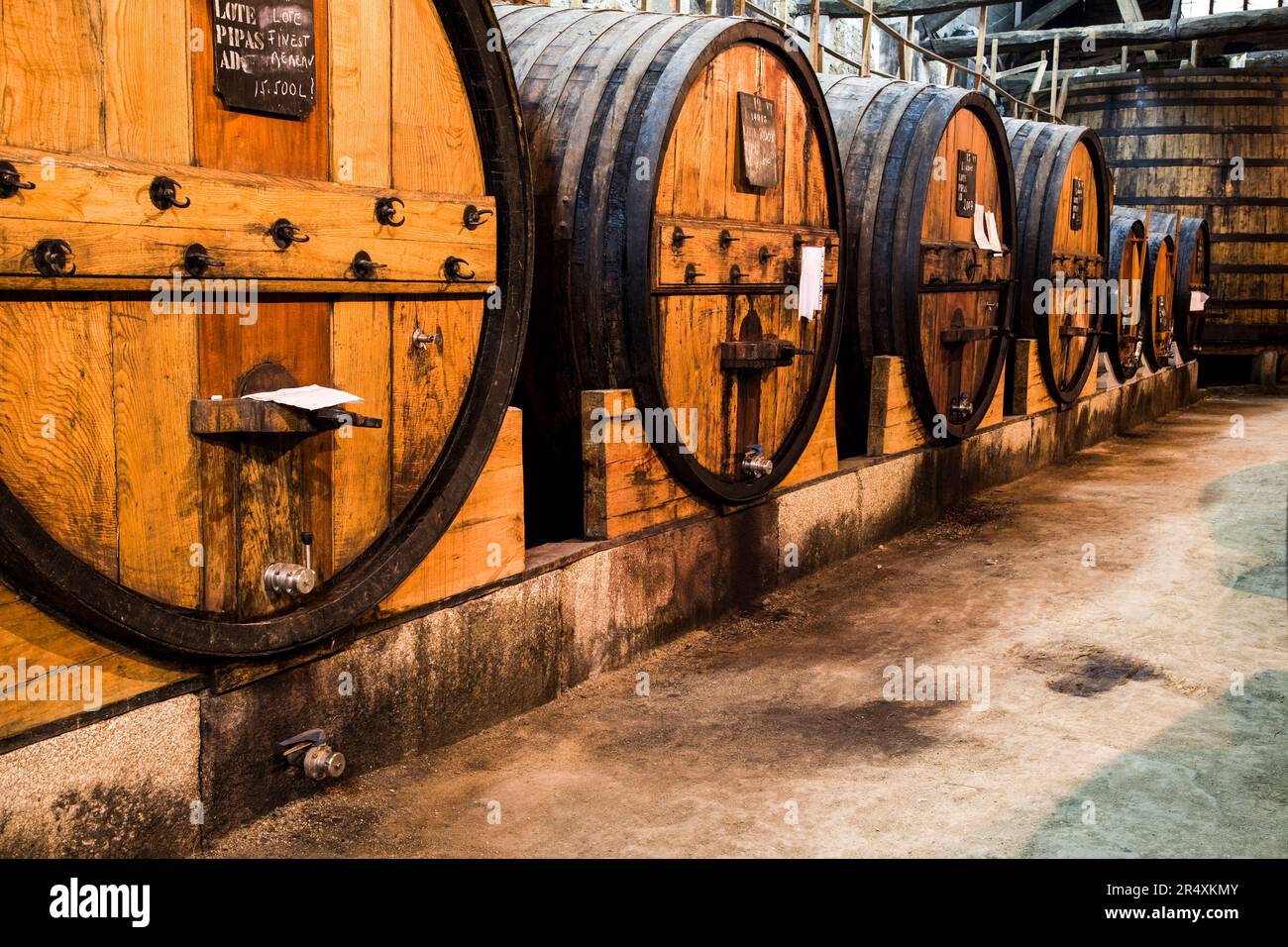 Fûts de vin dans une cave dans la vallée du fleuve Douro au Portugal ; vallée du fleuve Douro, Portugal Banque D'Images
