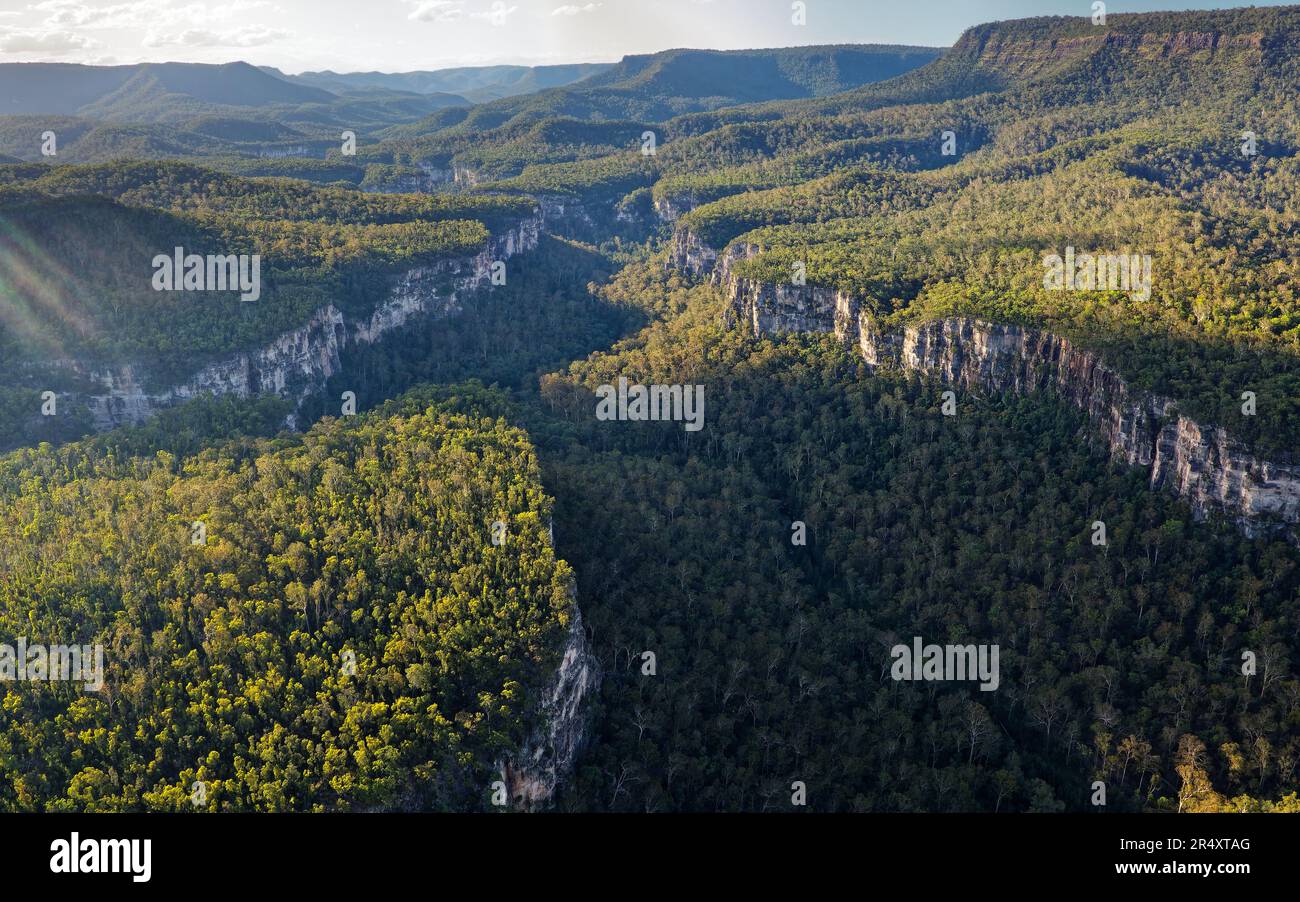 Parc national de Carnarvon situé dans la biorégion de la ceinture de Brigalow Sud dans la région de Maranoa, dans le centre du Queensland, en Australie, deux bassins sédimentaires, Banque D'Images