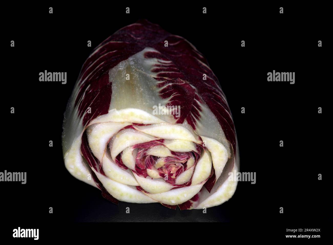 Radicchio, chicorée italienne Banque D'Images