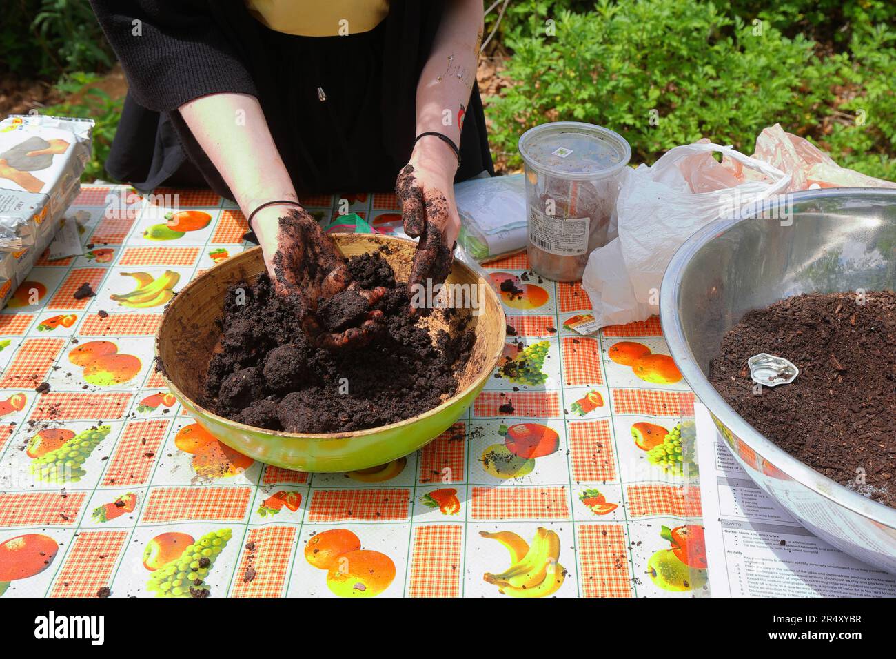 Une personne de Bee Conservancy démontre la fabrication de bombes de graines de fleurs sauvages indigènes, balles de graines, à la matière de la Terre sur l'île de Govenors, New York. Banque D'Images