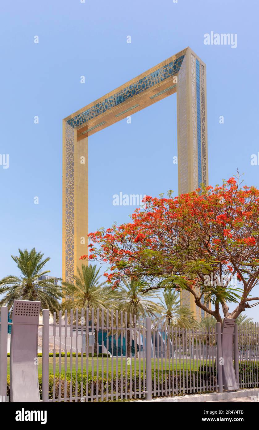 Cadre Dubaï avec arbre à fleurs rouges et espace de texte bleu ciel Banque D'Images