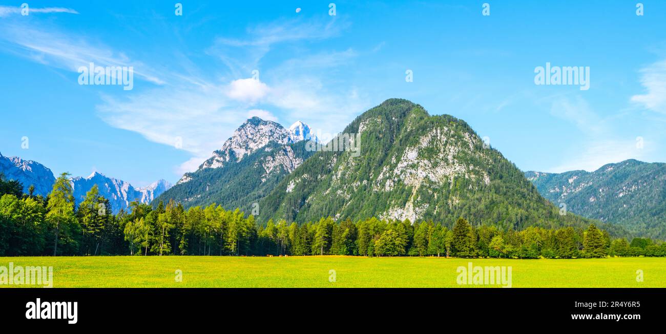 Vue sur la vallée de la Krma par une belle journée d'été. Pâturages verts herbeux en premier plan et sommets à couper le souffle des Alpes juliennes en arrière-plan. Trigla Banque D'Images