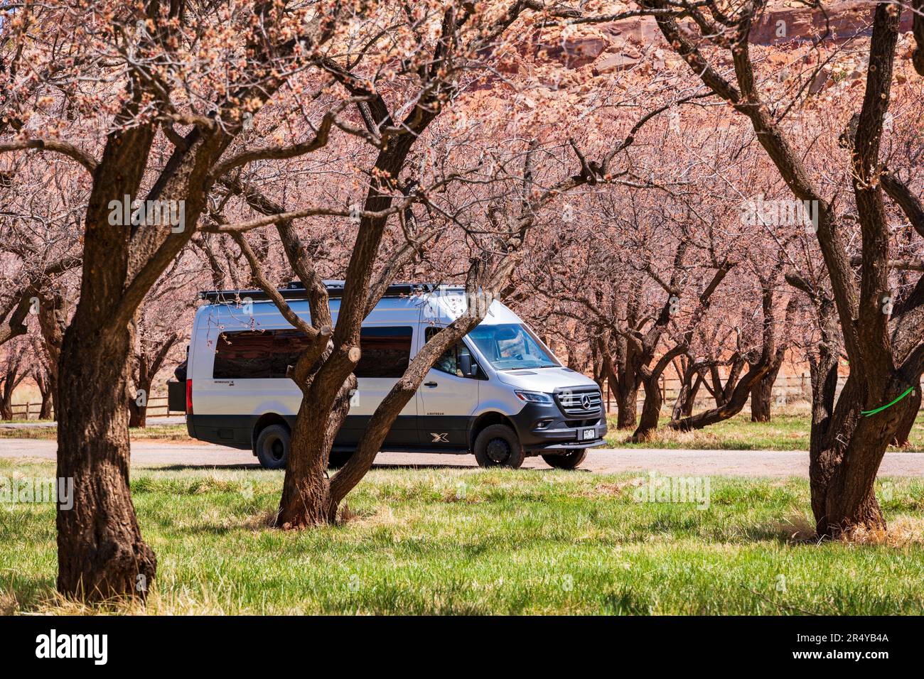 Airstream Interstate 24X 4WD campervan; Apricot Orchard; Fuita; parc national de Capital Reef; Utah; États-Unis Banque D'Images