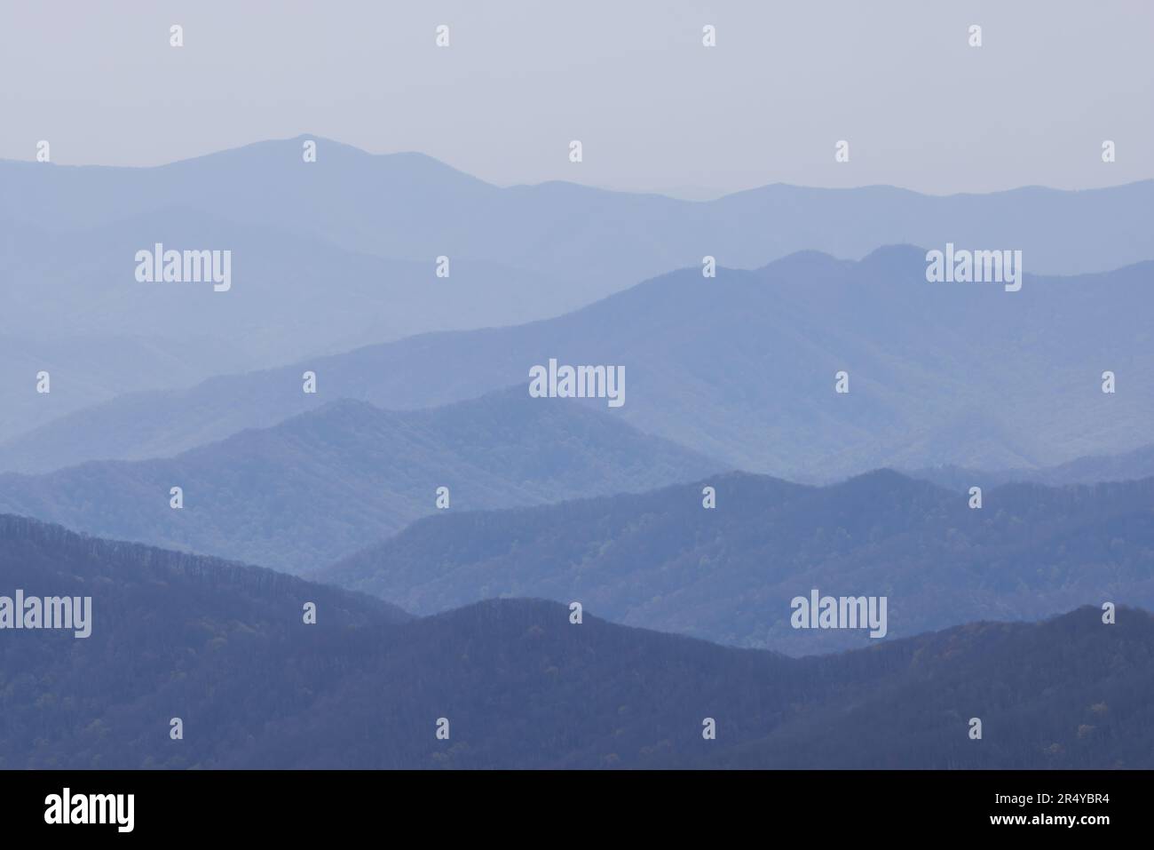 Crêtes montagneuses vues depuis le Cligmans Dome, parc national des Great Smoky Mountain, Tennessee Banque D'Images
