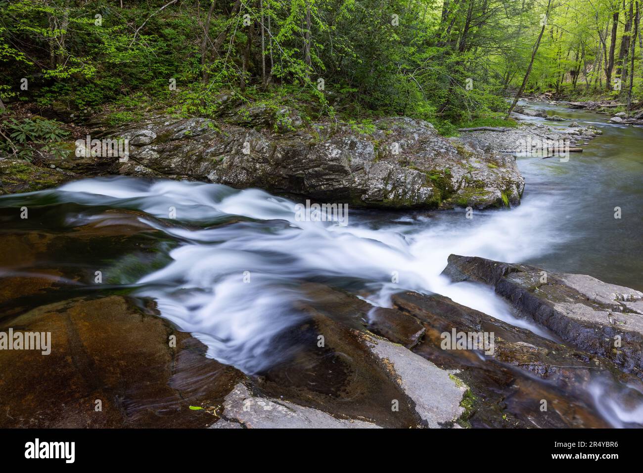 West Prong Little River le long de Laurel Creek Road, parc national des Great Smoky Mountains, Tennessee Banque D'Images