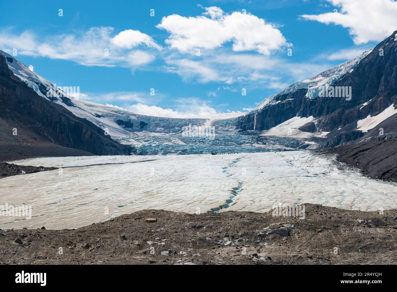 Glacier Athabasca en été, parc national Jasper, Canada. Banque D'Images