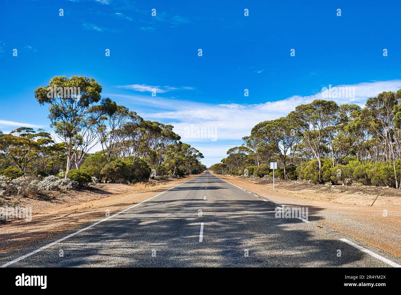 Tout droit dans l'Outback australien, entre Esperance et Norseman, Australie occidentale Banque D'Images