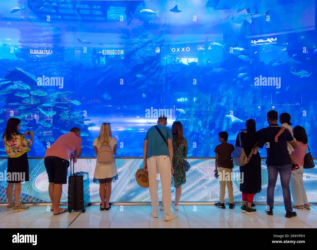 Les gens qui regardent l'aquarium à l'intérieur du centre commercial de Dubaï Banque D'Images