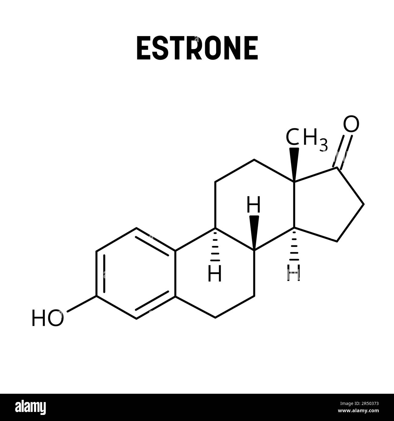 Structure moléculaire de l'estrone. L'estrone est un stéroïde, un œstrogène faible, et une hormone sexuelle féminine mineure. Formule structurale vectorielle de composé chimique. Illustration de Vecteur
