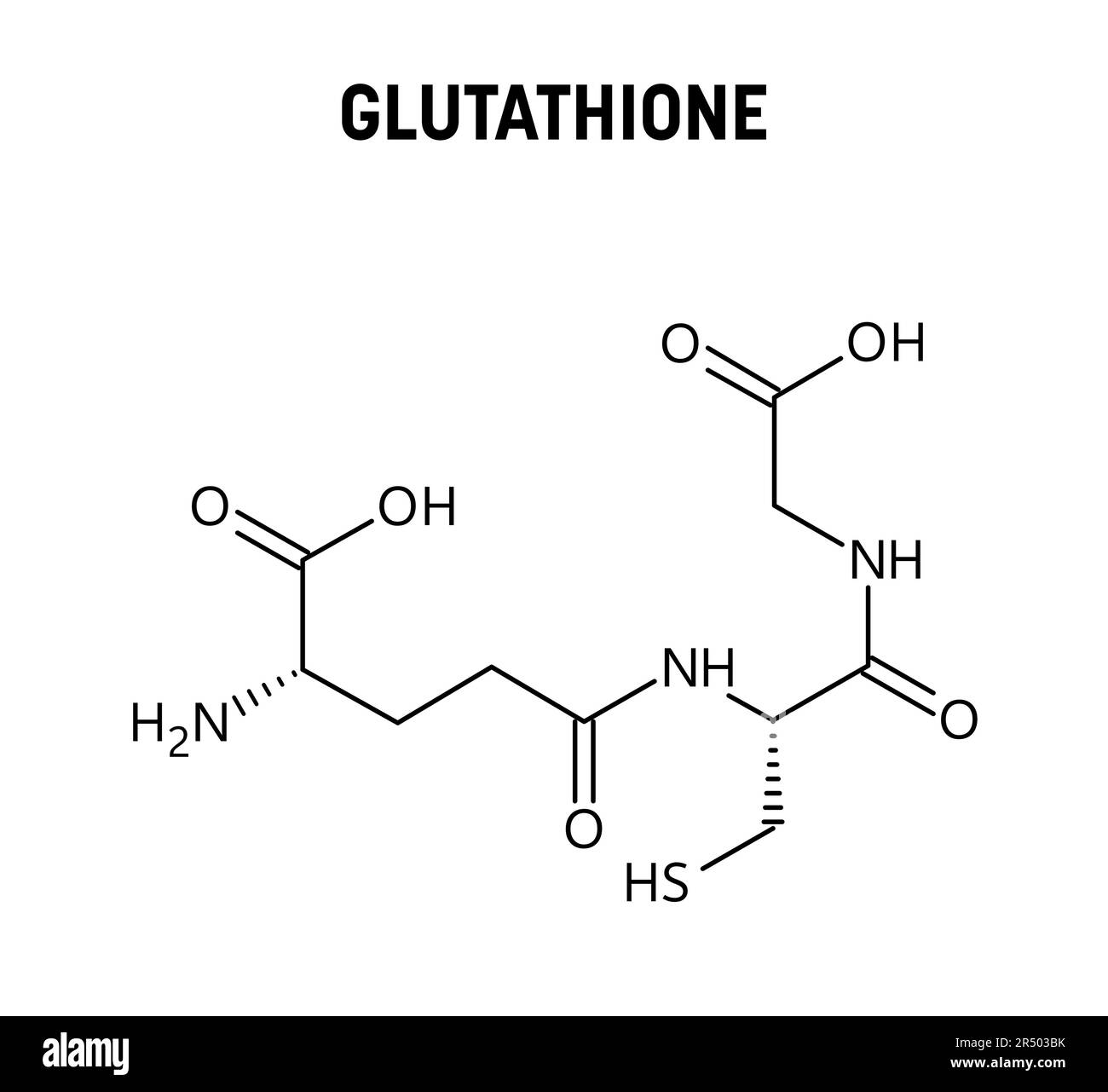 Structure moléculaire du glutathion. Le glutathion est un antioxydant dans les plantes, les animaux, les champignons, les bactéries et les archaées. Vecteur de formule structurelle de la chimie Illustration de Vecteur