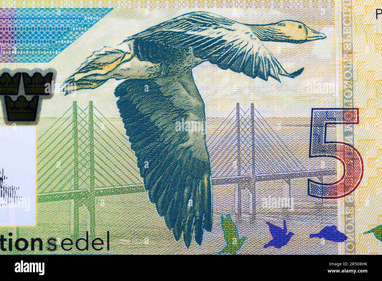Goose survolant le pont d'Oresund de l'argent suédois - Kronor Banque D'Images
