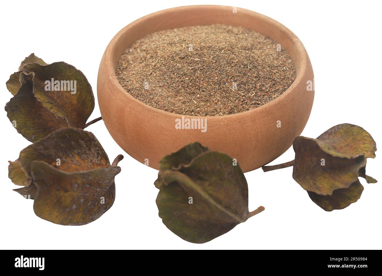 Fruit arjun ayurvédique avec poudre broyée dans un bol Banque D'Images