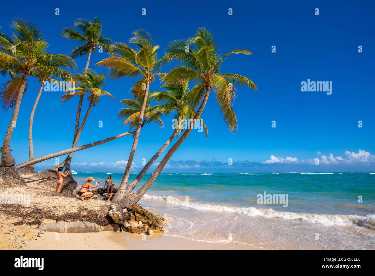 Vue sur la mer, la plage et les palmiers par une journée ensoleillée, Bavaro Beach, Punta Cana, République Dominicaine, Antilles, Caraïbes, Amérique centrale Banque D'Images