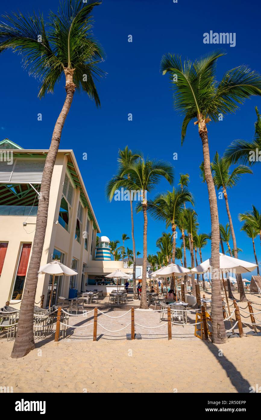 Vue sur les palmiers et le café à Bavaro Beach, Punta Cana, République Dominicaine, Antilles, Caraïbes, Amérique centrale Banque D'Images