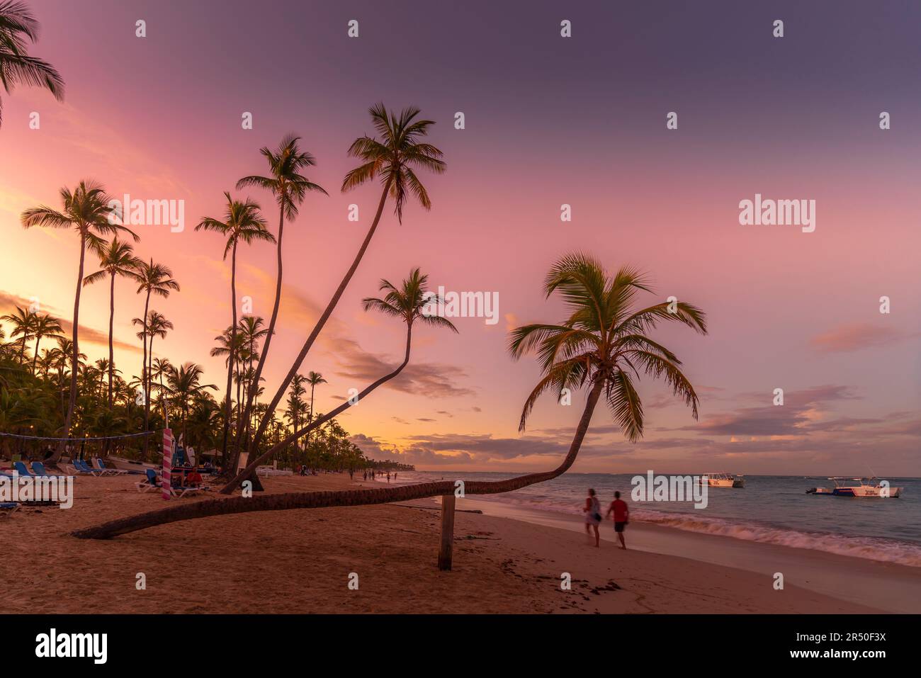 Vue sur les palmiers et la mer à Bavaro Beach au coucher du soleil, Punta Cana, République dominicaine, Antilles, Caraïbes, Amérique centrale Banque D'Images