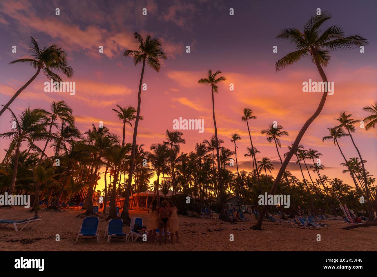 Vue des palmiers et du ciel sur Bavaro Beach au coucher du soleil, Punta Cana, République Dominicaine, Antilles, Caraïbes, Amérique centrale Banque D'Images