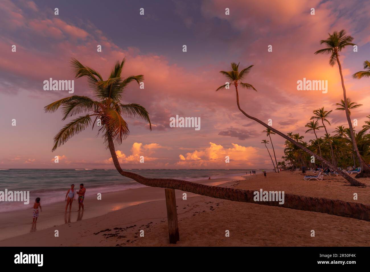 Vue sur les palmiers et la mer à Bavaro Beach au coucher du soleil, Punta Cana, République dominicaine, Antilles, Caraïbes, Amérique centrale Banque D'Images