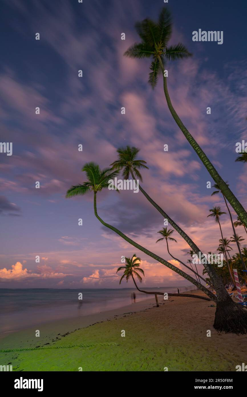 Vue sur les palmiers et la mer à Bavaro Beach au coucher du soleil, Punta Cana, République dominicaine, Antilles, Caraïbes, Amérique centrale Banque D'Images