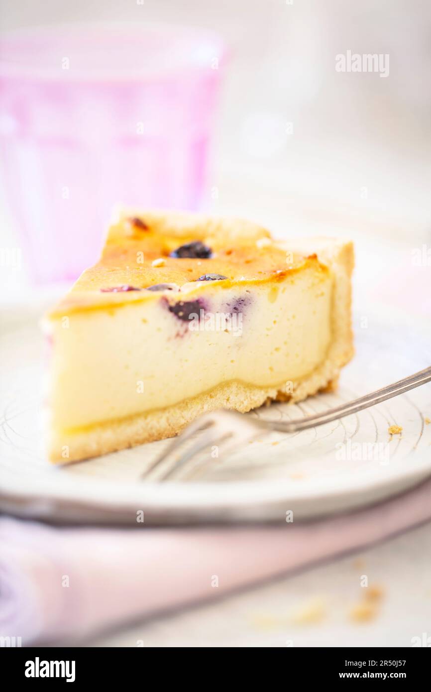 Cheesecake aux myrtilles et à la pâte à croûte courte (végétarien) Banque D'Images