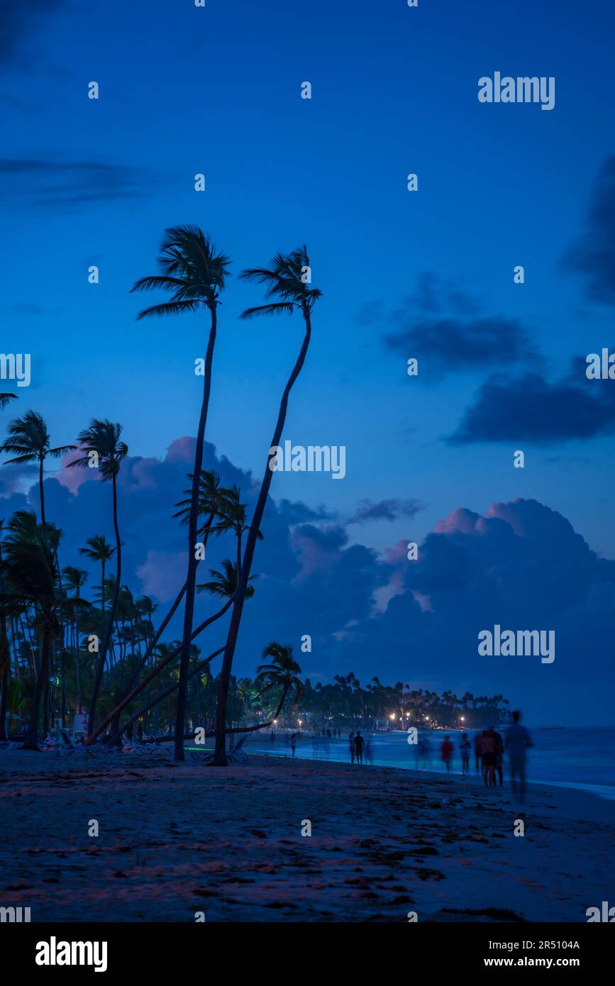 Vue des palmiers sur Bavaro Beach au crépuscule, Punta Cana, République Dominicaine, Antilles, Caraïbes, Amérique centrale Banque D'Images