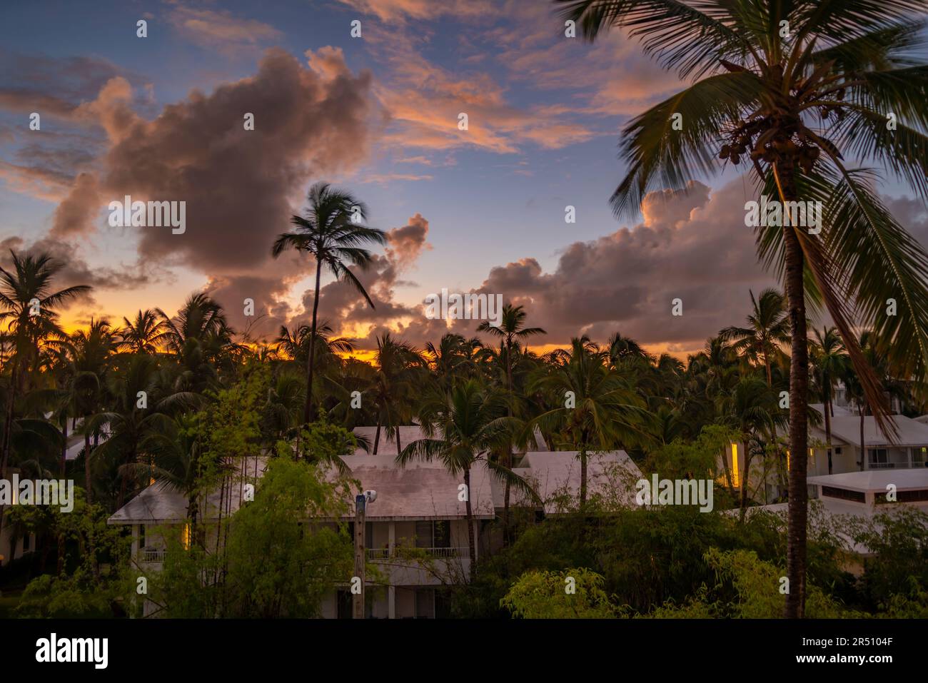 Vue des palmiers sur Bavaro Beach au lever du soleil, Punta Cana, République Dominicaine, Antilles, Caraïbes, Amérique centrale Banque D'Images