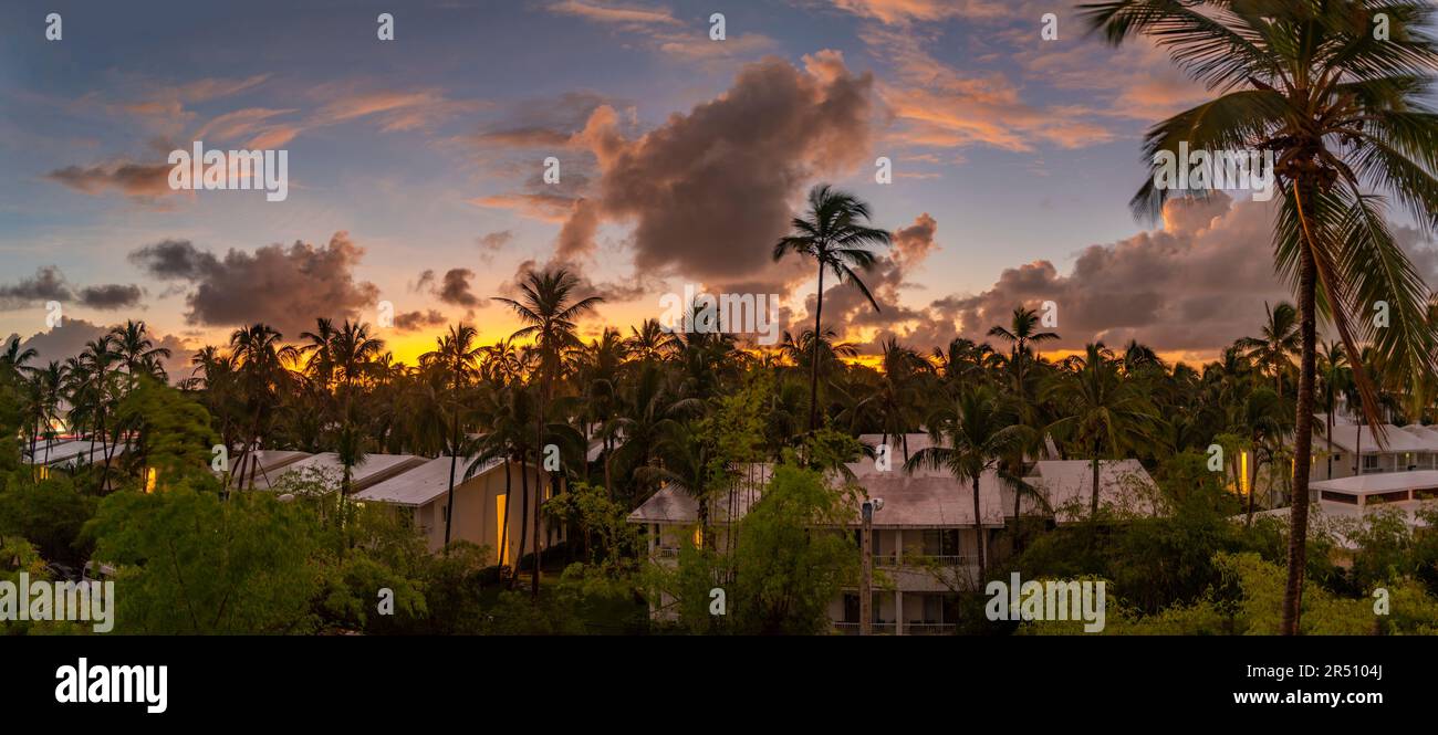 Vue des palmiers sur Bavaro Beach au lever du soleil, Punta Cana, République Dominicaine, Antilles, Caraïbes, Amérique centrale Banque D'Images