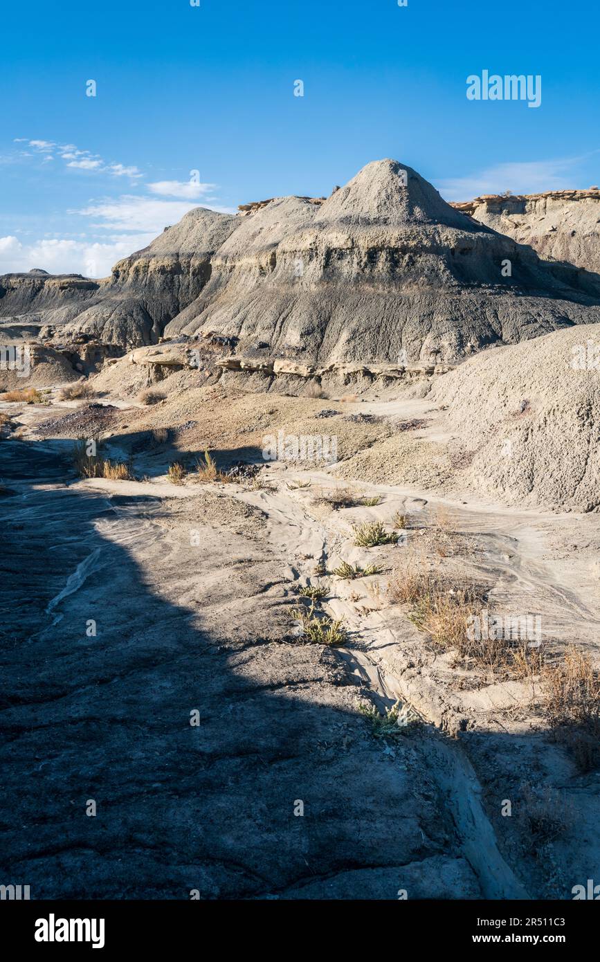 Région sauvage de Bisti / de-Na-Zin dans le comté de San Juan, Nouveau-Mexique Banque D'Images