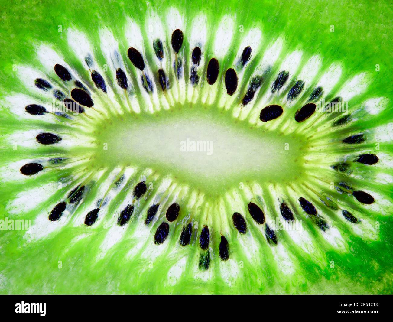 Kiwi (gros plan, plein format) Banque D'Images